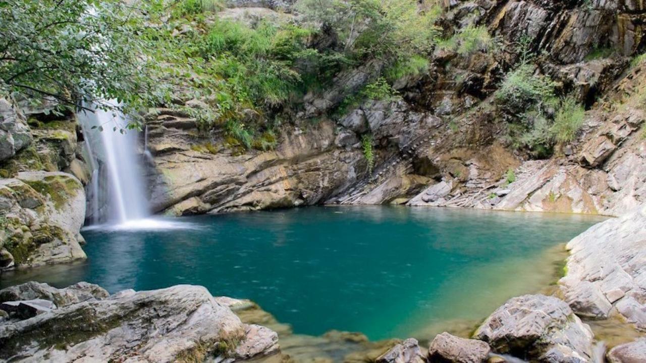 Appartamento Abate Лидо-ди-Камайоре Экстерьер фото
